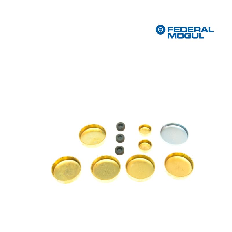 Tapon-antiheladas-set-4.0-L.-1356.10-381-8084